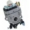 Carburateur Taille-haies Alpina