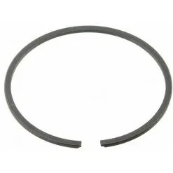 Segment (par 1) 118550552/0 Pour Tronconneuse Alpina