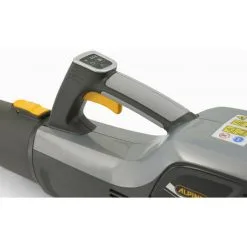 Alpina ABL 48 Li Kit Souffleur De Feuilles Sans Fil 48V Li-Ion (1x 2.0Ah) - 55 M/s – Vitesse Variable