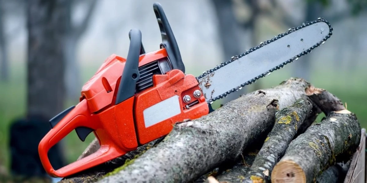 ALPINA Soldes Magasin -ALPINA Soldes Magasin cele mai bune drujbe romanesti featured